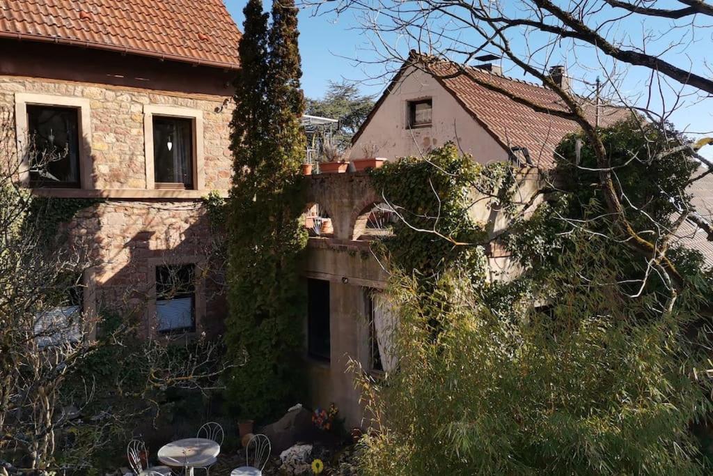 "Casita Linda "Am Donnersberg Villa Dannenfels Eksteriør billede